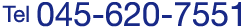 tel:045-620-7551